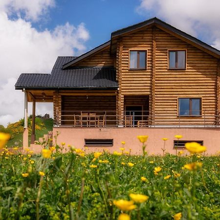 Snow Time Eco Chalet Гудаурі Екстер'єр фото