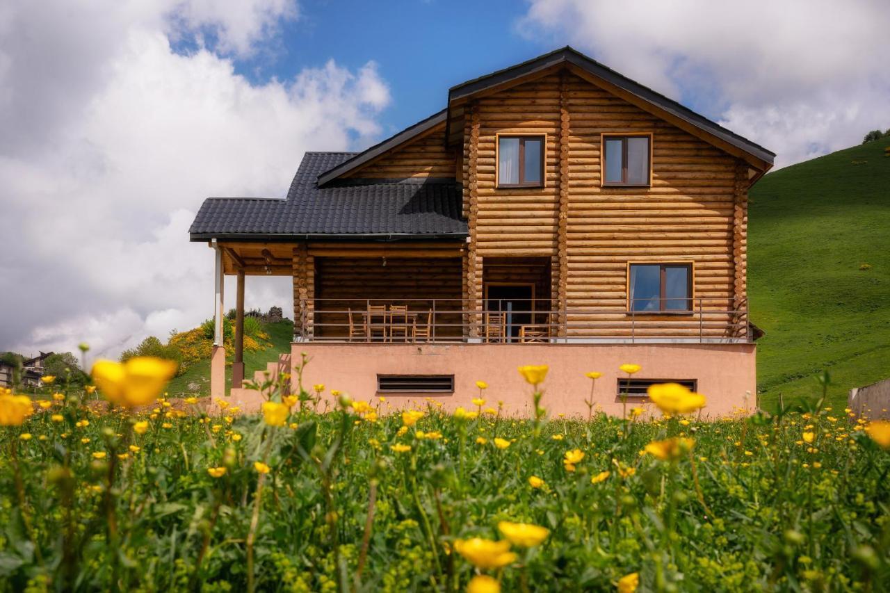 Snow Time Eco Chalet Гудаурі Екстер'єр фото